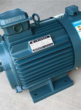 1浙江瑞安6鸿祥电机YLJ132-6N-异卧式顶，边出线三相步力矩BWE电