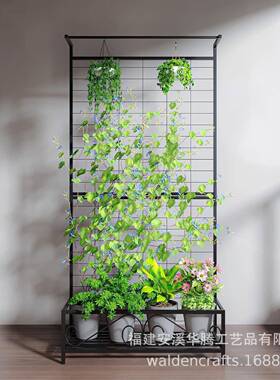 室HT-W0007内外金属装铁悬挂盆格子架花盆景饰制攀岩植物爬藤架