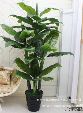 客厅塑料花树真散尾葵假绿植珍盆栽大型仿真树居珠80692葵室仿内
