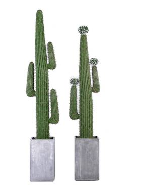 多现简盆354栽绿色清新仿真绿植办公桌摆饰无异味约塑料过胶代款