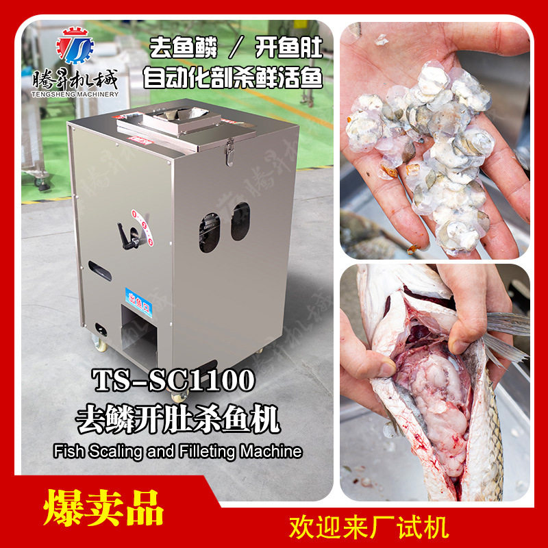全自动不锈钢去鳞剖鱼机