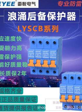 20KA二电涌浪涌后备保护器LSCB-20/40/60/80Y防/1K5A配电箱柜避雷