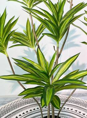 仿真百合竹金室内落地风绿代YF220037橱窗造景水假树植盆栽装现饰