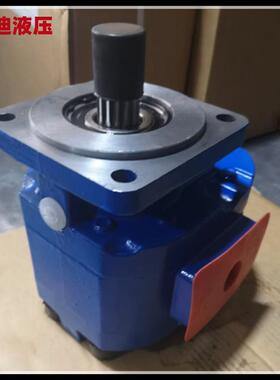 P0760震-F100N03676G齿轮泵泊姆压克路PJP机动泵300夯机齿轮泵