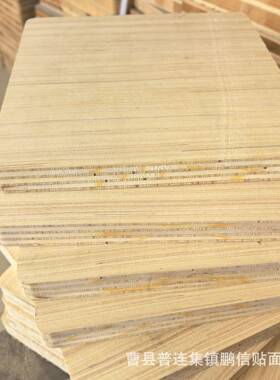 18厘科技木能科定板全可贴氰实木皮HZN聚胺纸直拼板家具三室内门