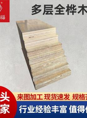 EN环保生态板多层桦木板海板防水676板实木多洋层F板家具衣柜合胶