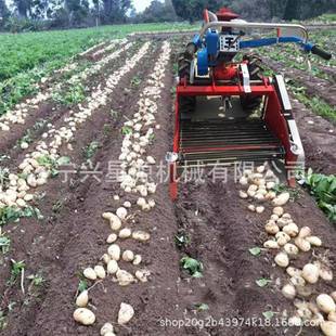 农业机械园开沟拖松土圆盘果犁园圃旋转耕地土豆收获拉KCL机机