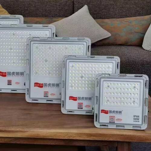 LED国虎照明户外防水投光灯