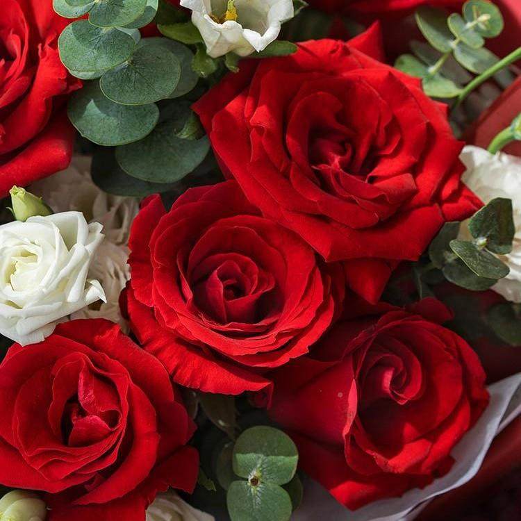 /初心如一红玫瑰款/红玫11瑰36599636枝，桔白梗3枝