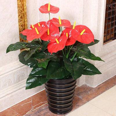 假树红掌仿型hzxl0517真花设假花盆栽落地大假绿摆客厅室内装饰仿