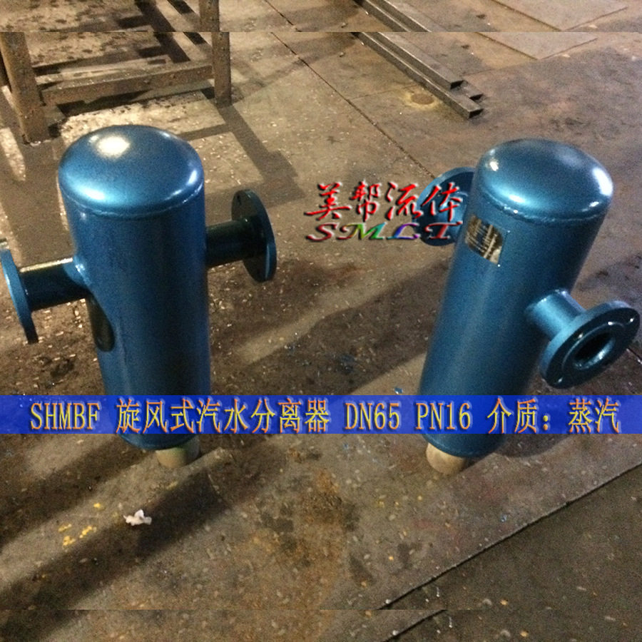 SHMBF/ZQDF蒸汽专用汽水分离器