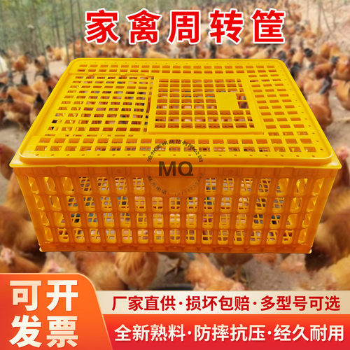 鸡笼周转箱家用特大号鸡笼子鸭鸽兔鸡用家禽运输筐养殖笼塑料鸡框