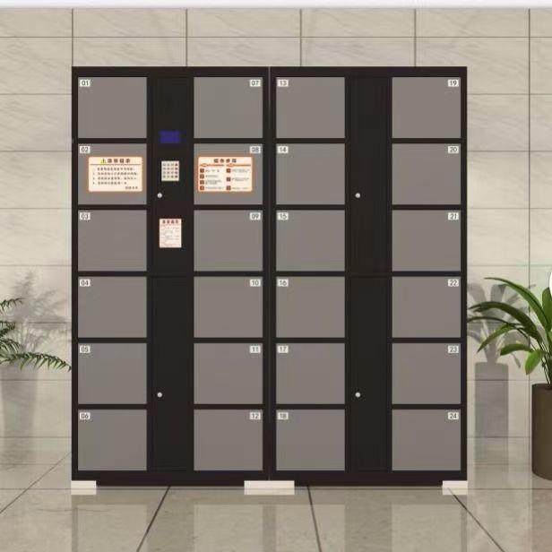 人脸识别助手机子超市柜存柜自取电存包VJD柜储物柜扫码员工智能,鲜花速递/花卉仿真/绿植园艺,其它园艺用品,淘宝优惠券,粉丝福利购,淘宝优惠卷