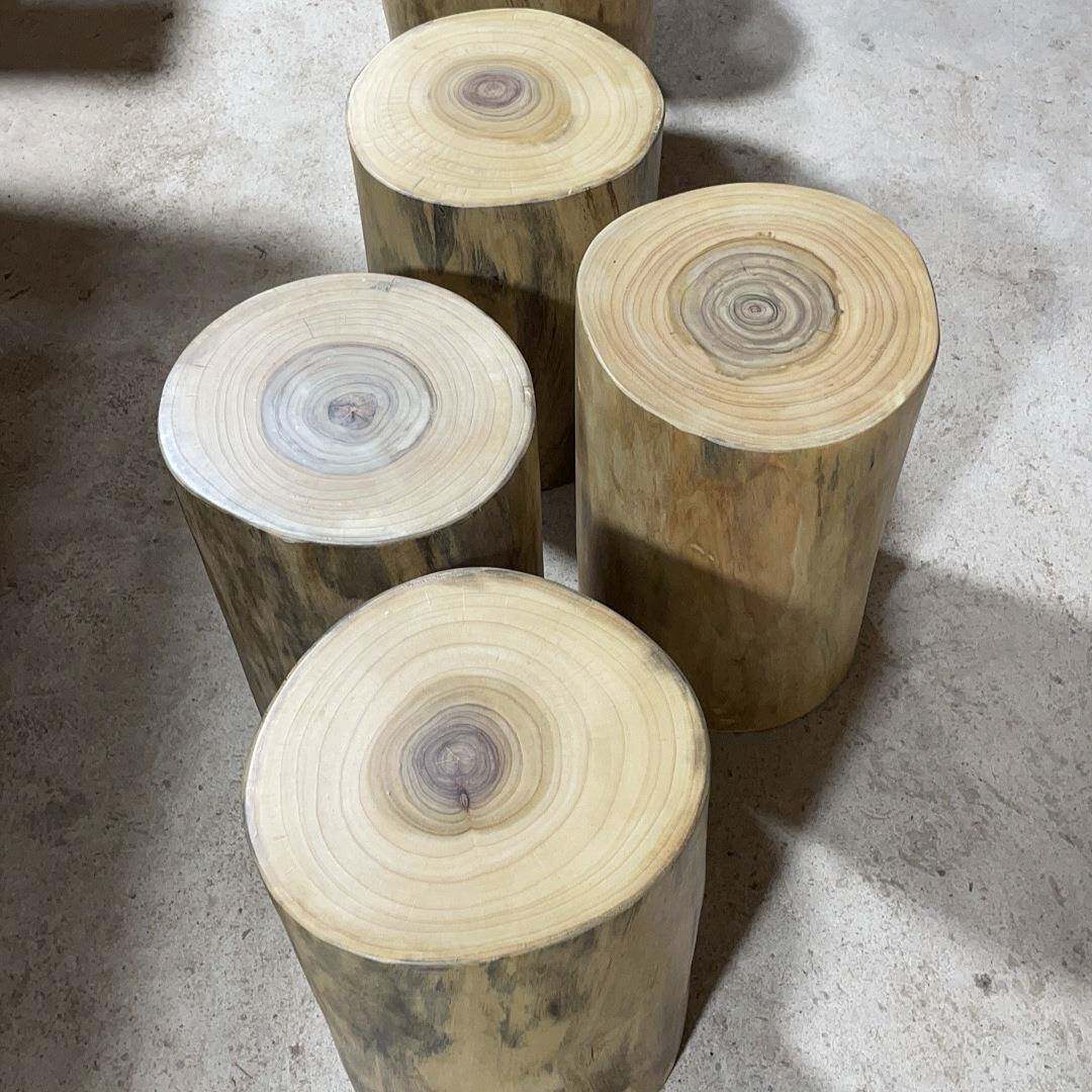 原木香樟子树墩树桩木桩凳凳花架根雕NRW茶几实木坐大底座木墩子