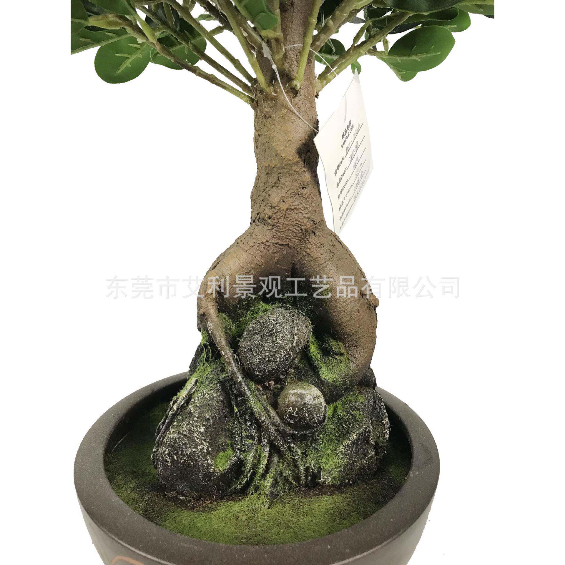 室内盆栽小榕树榕盆景榕树盆栽人参盆栽室内绿植HS1-0034迷你美观
