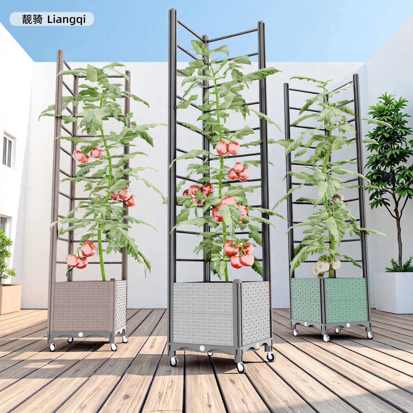 可移季动外阳台花架地式室内种植架户庭院葡萄爬藤架黄瓜月FS7592