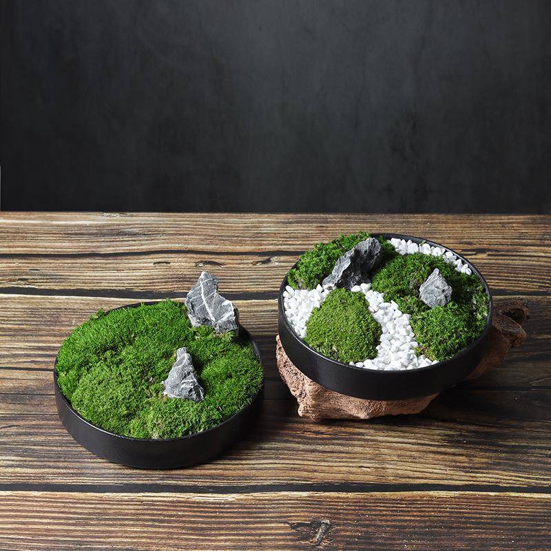 新式仿1真绿植中永生苔藓摆件绿微景观植桌软面假山造景装饰品样