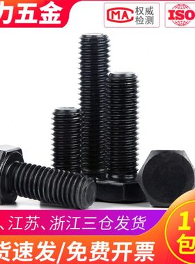 黑色304不锈钢外六角螺丝钉M10M12*50x60x70x80x90x150mm加长螺栓