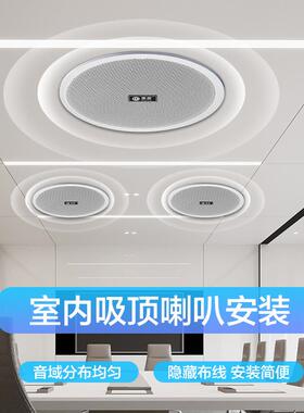 惠度（Hui室Du）R5RS-508HS-08H吸内商超酒店游乐园广播模拟顶音