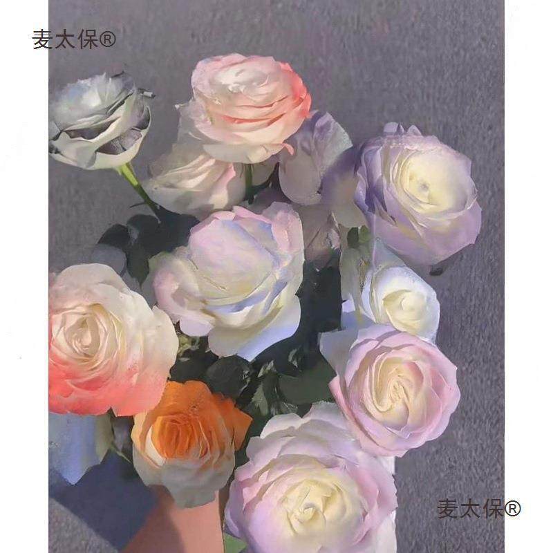 喷碎冰金色玫瑰花妍彩剂鲜花麦太保喷漆喷蓝白色色研色欧若拉色鲜,家居饰品,餐桌花艺,淘宝优惠券,粉丝福利购,淘宝优惠卷