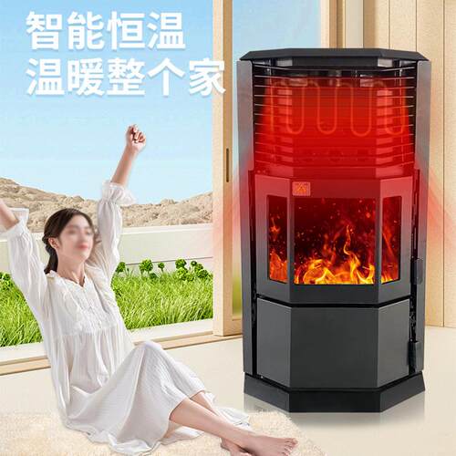60/80/10颗取粒暖炉炉农村家用柴火全自火动真壁炉烧水做饭生物质