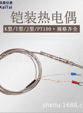 W热RNK-191/9偶1K型铠装电偶手持式热电偶K2型热电WRNK-291温控传