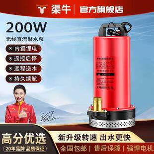 充电式无线抽水泵锂电潜水泵农用户外灌溉浇菜12V遥控启停抽水机