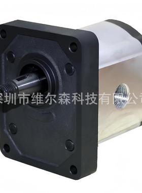 CAPRONI型油泵20A22X210,卡普罗尼齿轮泵，国产替代，型号齐全