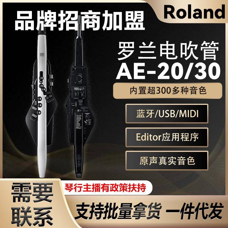 Roland罗兰电吹管乐器AE20中老年人娱乐初学AE30电子萨克斯葫芦丝