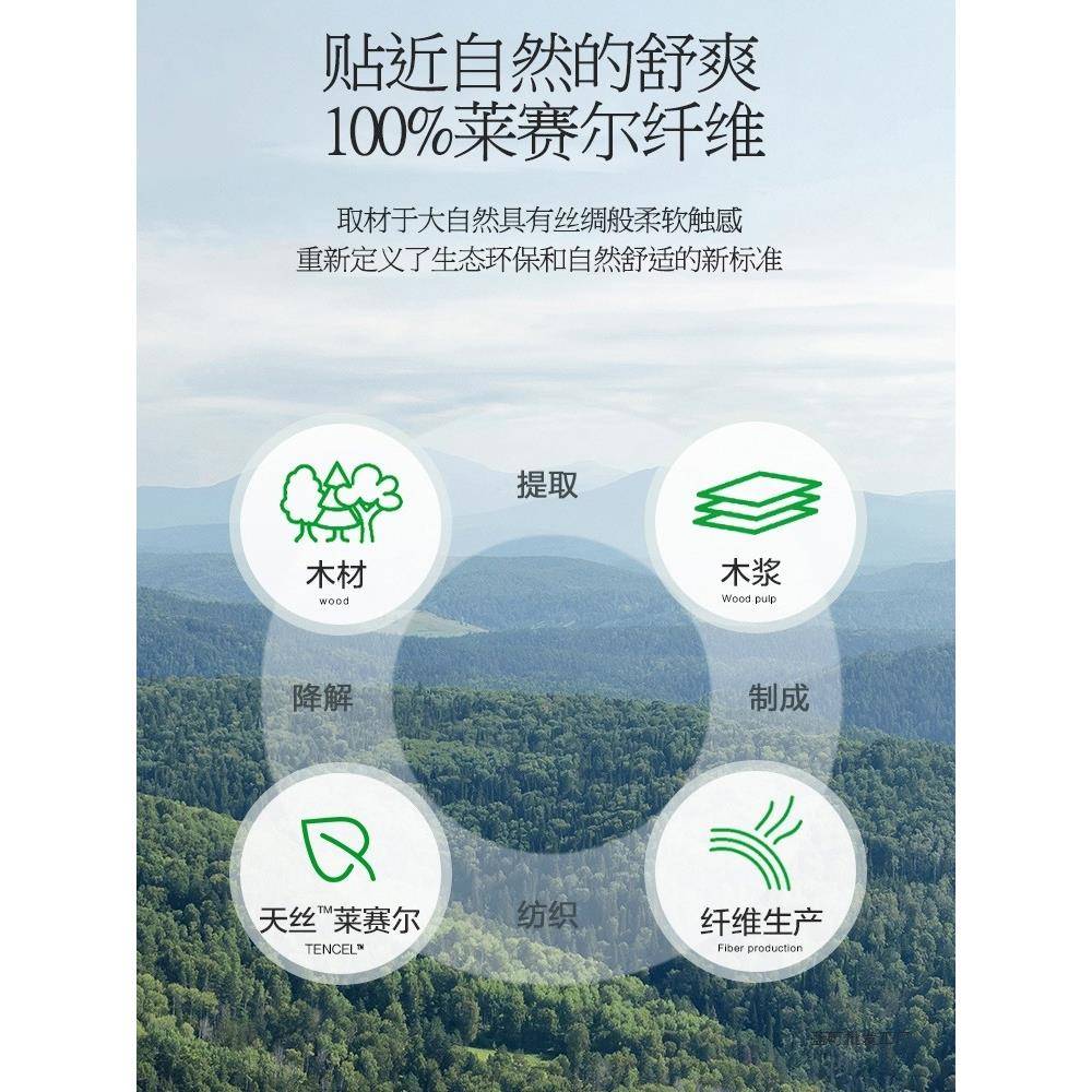 夏季枕套双面4ltao7150真丝一对装高支冰丝整凉套487xcm轻奢