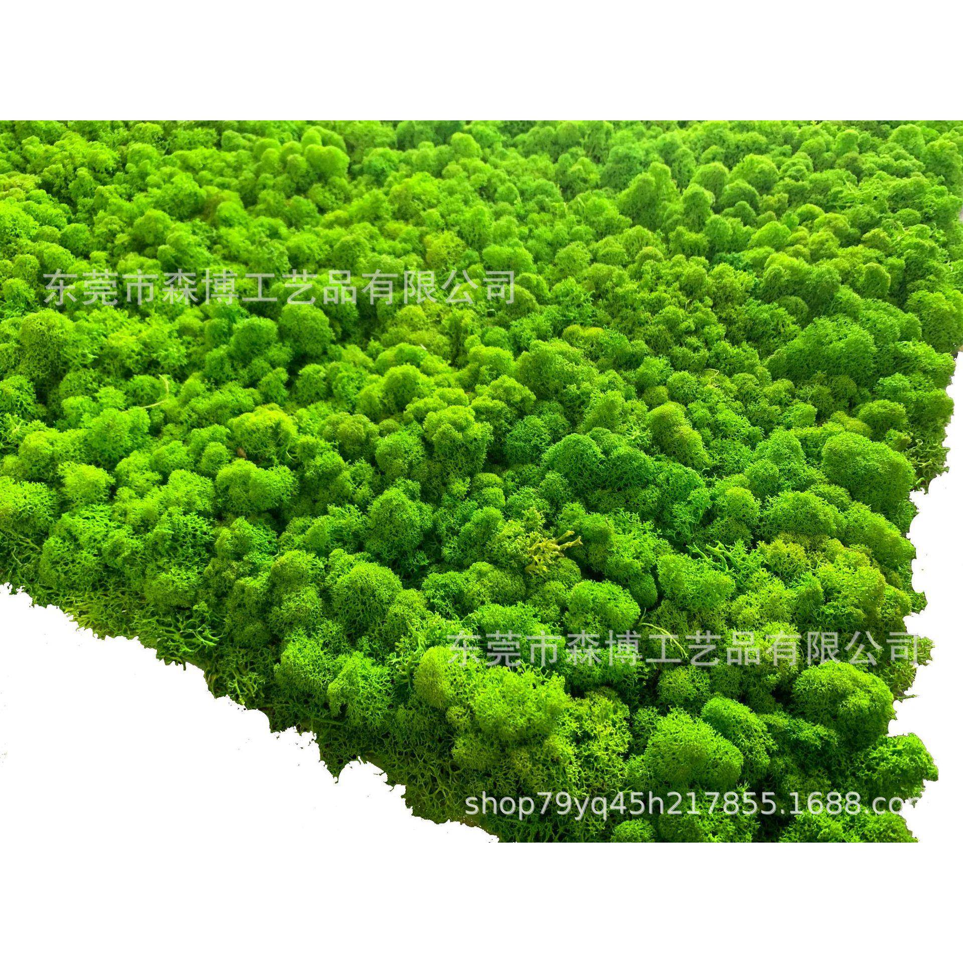 永生苔藓植物墙草皮绿植墙真青苔鹿蕊藓装饰背景办公室LOGO形象墙