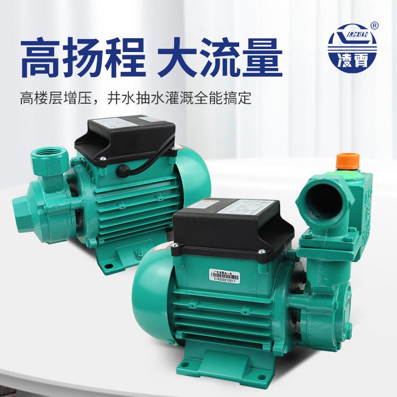凌霄水泵1DZB-35/45/65抽水机污水泵自来水井220V自吸清水增压泵