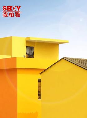 外墙年自漆防水防晒涂料3户外自刷乳胶油漆SBY20255建房室外水泥