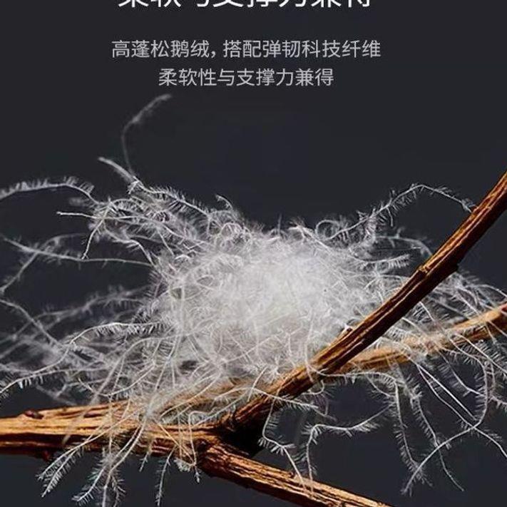 户外旅行轻薄羽绒便携式露营迪晶家纺95白鹅绒被芯被子可水绒洗轻