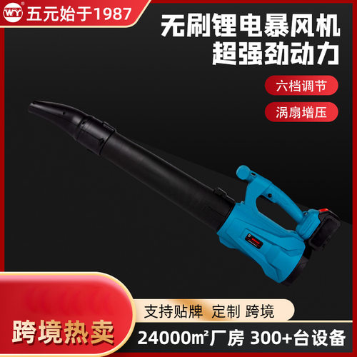 WDG22有刷锂电暴风机强力除雪