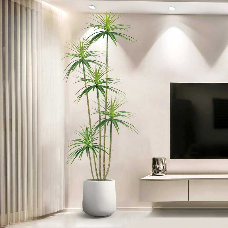 客厅电视柜旁轻奢绿植室内大型落地摆件盆栽装饰家居饰品好物,3C数码配件,摄像机配件,淘宝优惠券,粉丝福利购,淘宝优惠卷
