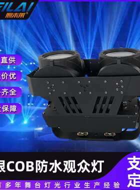 2眼COB防水观众灯2X100W暖白光双色户外染色面光曝光灯DMX景观灯