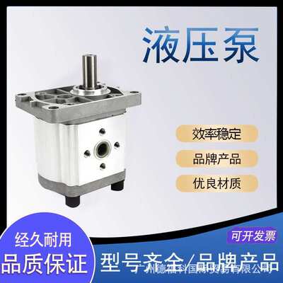 双联齿轮泵CBNL-F540/F520-BFH CBNL-F540/F516-BFH