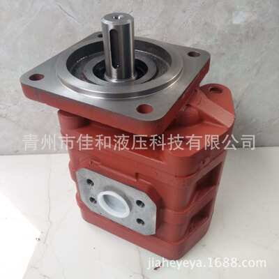 山东装载机齿轮油泵CBGJ2100 多种规格 运行稳定