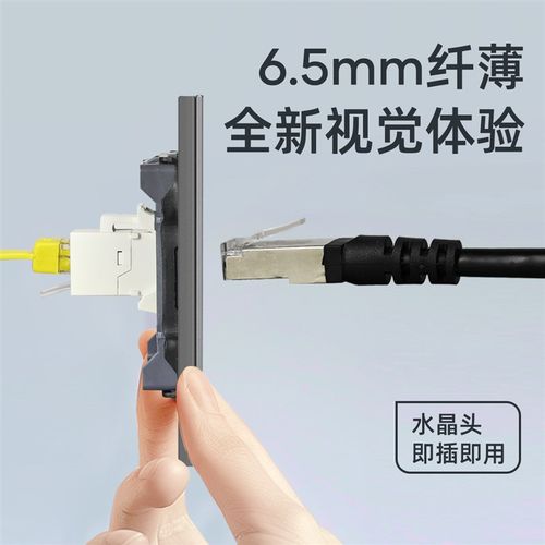 家恩86型钢化玻璃面板二位电脑网线插座双孔网口网络面板六类千兆