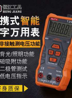 高精度仪器仪表手持式天宇数字多用表T21E21D专业级手持万用表