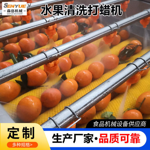 商用果蔬毛辊清洗风干线