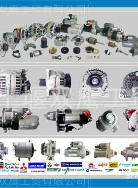 供应适用于DCEC东风康明斯5291980发电机/C5291980