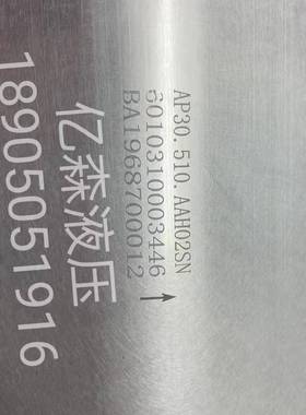 国产替代BLUE ASCEND土耳其AP30/AP20系列齿轮泵AP30.510.AAH02SN