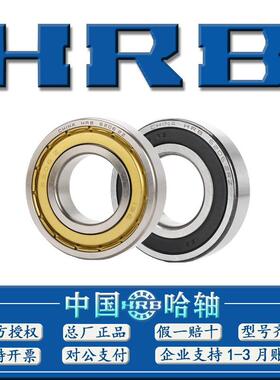 HRB正宗哈尔滨深沟球轴承6HOX40964064116412641364142Z21RZ