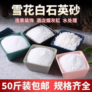 50斤白沙石砂白色细沙子鱼缸圾底砂枯山水英603垃烟桶灰缸纯