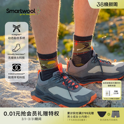 Smartwool底轻量减震短筒袜