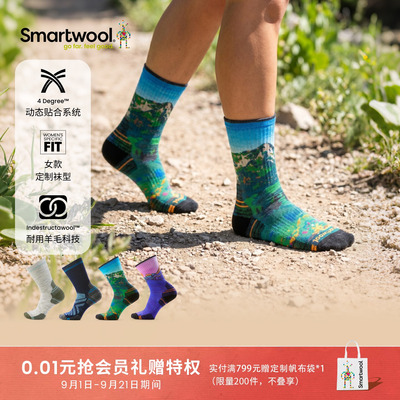 Smartwool区域轻量减震中筒袜