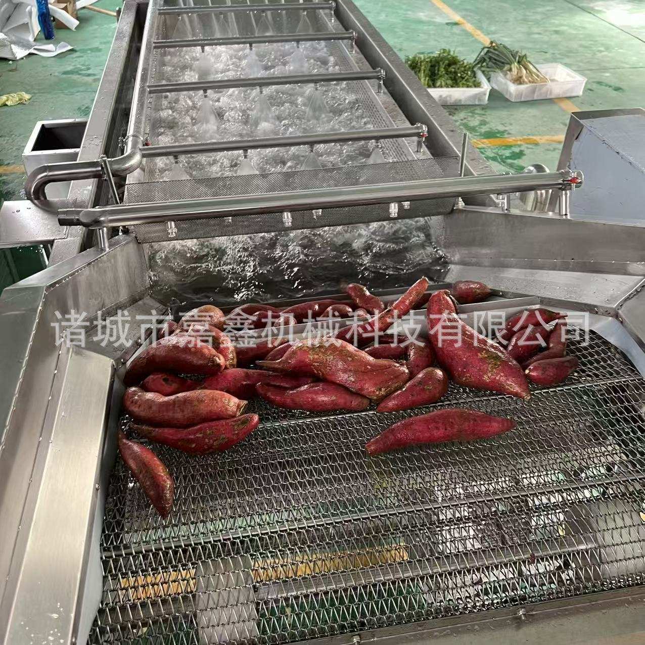 多功能果蔬喷淋式鼓泡清洗流水线 水蜜桃清洗 菠萝 菠菜 清洗神奇