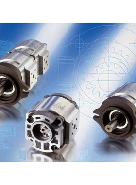 EIPS2-006RA04-1X,齿轮泵,KWL/凯维联